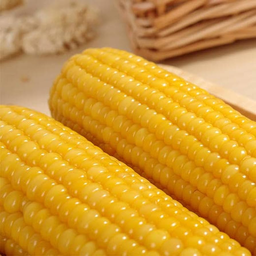 Yellow Corn GMO Original USA - in-nature for human consumption